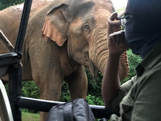 Safari, Yala National Park, Sri Lanka 10