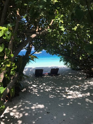 Maldives beach 3