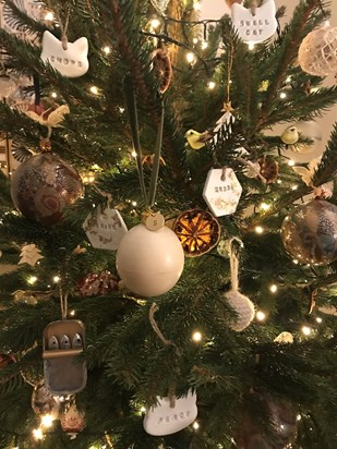 Christmas family ornaments