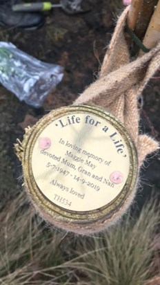 Your plaque on your tree Mum xxxxxxxx