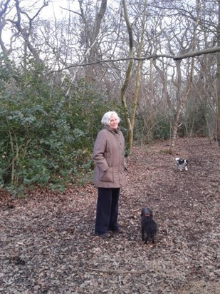 Enjoying walks in Highgate Woods with the dogs 