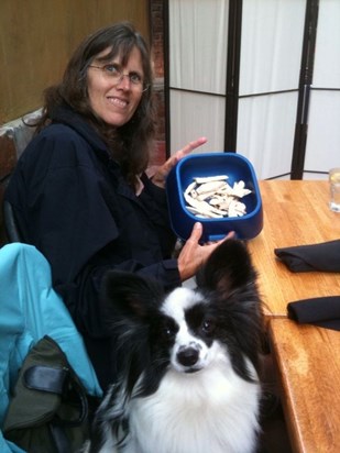 Post-trial dining in dog-friendly Carmel. Alicia ordered grilled chicken strips for all the dogs!