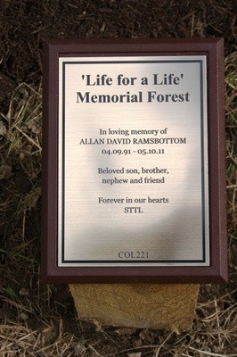 Allan's Oak tree: The plaque at the base of the Oak tree planted in Allan's memory