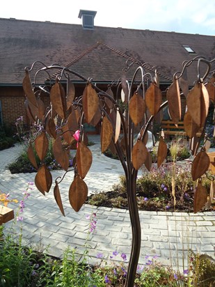 Beautiful new memory tree in remembrance garden at Christopher's (Kara's leaf has pink ribbon)