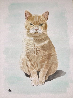 Dude Chris,s wood previous cat.  Painted by Alison Copland