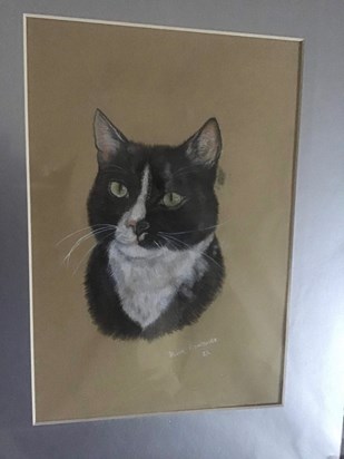 Loki  painted by David Roland’s, who we used to meet every year at Clywedog to spy on 5F, and take photos. Good friend