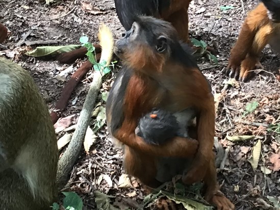 Protecting her baby