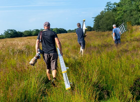 Chris helping with Ringing in the Glaslyn Valley July 2022