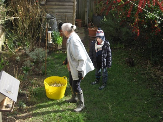 In the Garden 