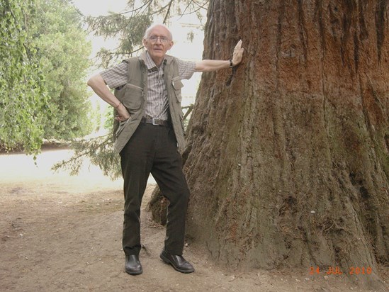 Tom and his Sequoia at Anglesey Abbey, Lode, Cambridge