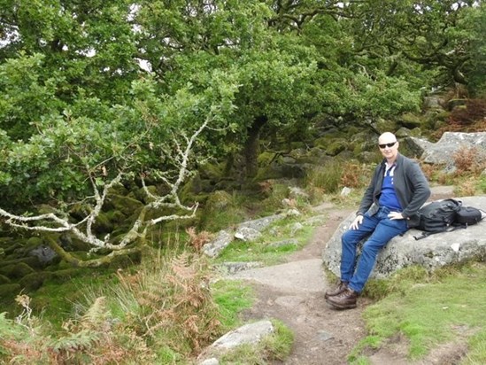 Wistman's Wood, Devon.