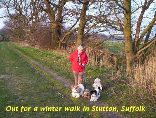 065  Jean and the 'girls' (Angel, Pebbles, Rosie and Charlotte) out for a winter's walk at Stutton, Suffolk