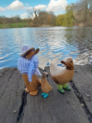 Just 1 of the many photos you would send, with the caption 'I took my ducks out for a walk'