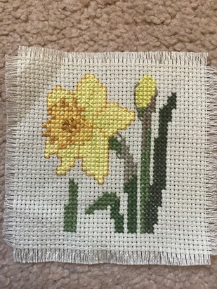 One of the many St David’s day gifts that Mummy made for me and my family.