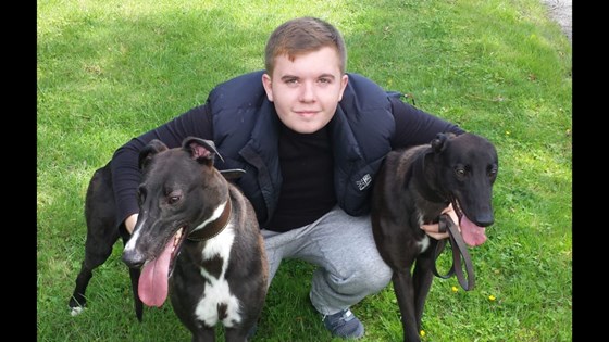 Jack and his beloved greyhounds 