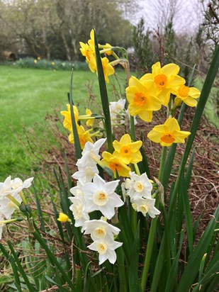 Thinking of you this Easter Day mum. 🐥🐣🐥🐣  We miss you xxx 