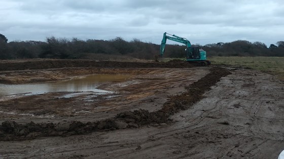 Wildlife Pond Ian's Meadow IOW Jan 2022, work in progress