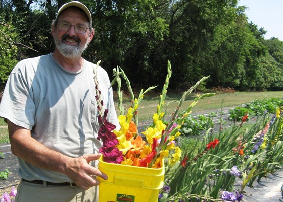 Glads, ACE project at St. Paul's