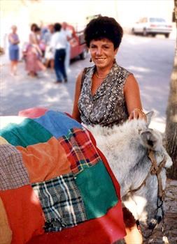 Algarve donkey