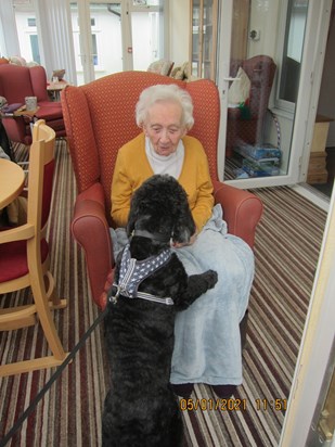 Nancy feeding Buddy the Cockerpoo