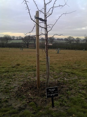 This is planted in memory of you x