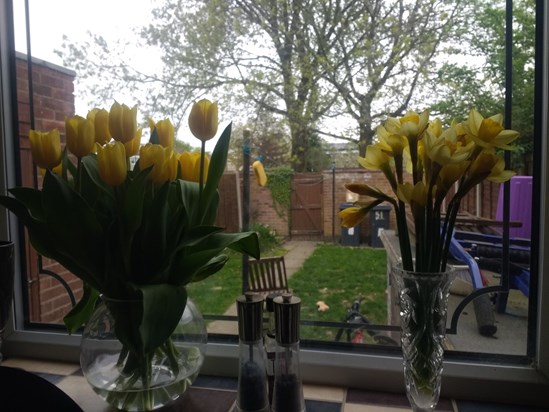 A belated b'day gift and daffodils for you