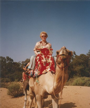 on camel 