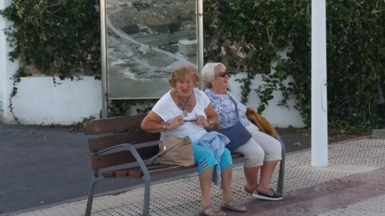 Golden Girls in Alcossbre