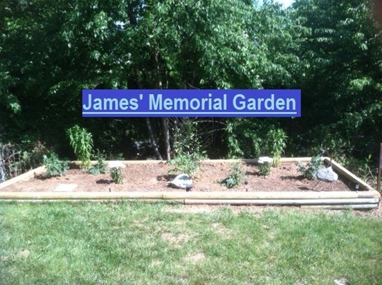 We made this garden to remember our baby boy. 