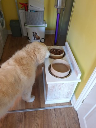 Lacy and her new bowls