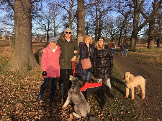 Christmas walk 2016 