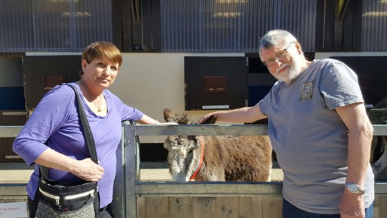 Sue and Simon at the Donkey Sanctuary
