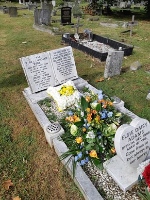 Doreen's Flowers - Webb family grave