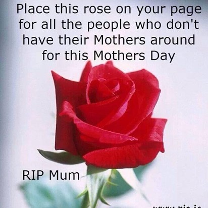 Happy Mother's Day mum XXX