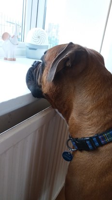 Waiting for dad to come home from hospital x