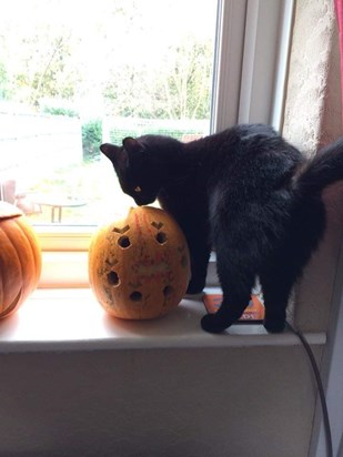 “What’s dis?” 🎃 