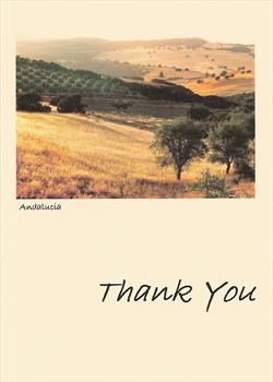 Our 'thank you' card to friends and family