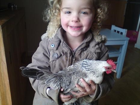 Alix cuddling one of the chickens