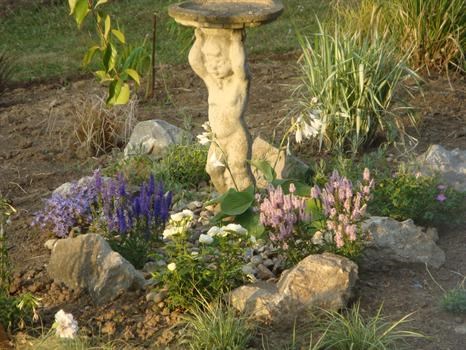 Pictured at sunset, this pretty feature in my new garden, with a cherub bird bath as the focal point