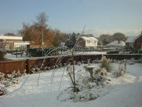 The first snow of winter in my "new" garden, designed by Nicola & created last year in Paul's memory