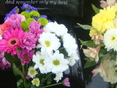 Beautiful flowers for Paul from Clair and Tshequa - 6th June 2011 