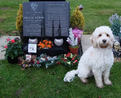 Monty with dirty paws and beard!!! - 18th December 2012