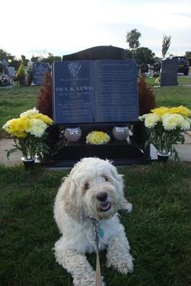 Monty, resting at Paul's spot - 8th September 2013