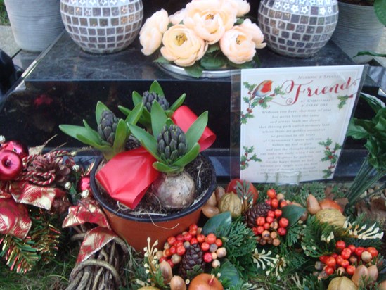 Hyacinths from Jean Dale & Christmas card from Clair, Tshequa, Matt & Nicky - 24th December 2014