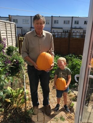 Growing pumpkins for the boys each year