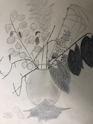 Still life of dried flowers, pencil drawing
