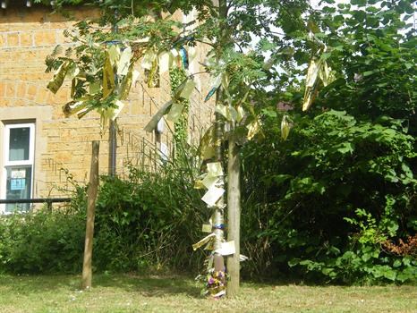 Prayer Tree for James.North Cadbury School.June 2010.