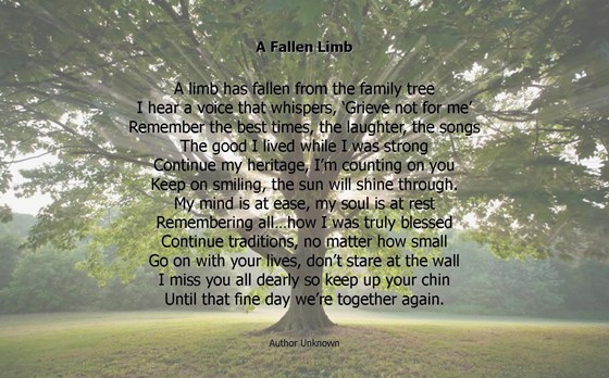 A Fallen Limb   Family Tree