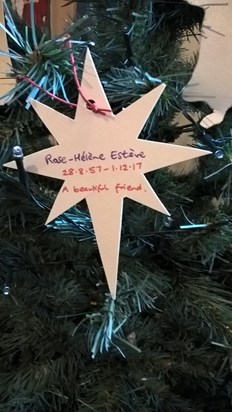 Rose-Hélène's star on a special tree at our village Christmas Tree Festival.