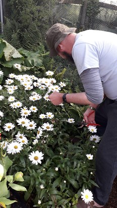 Picking daisies